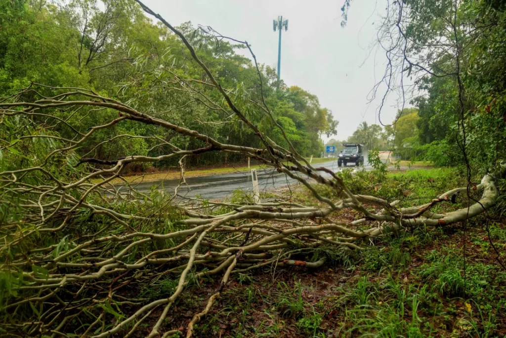 Avustralya'da sel. Şiddetli yağmurların ardından 16 aralık 2023'te avustralya'nın cairns banliyösündeki ağaçlar devrildi. Fotoğraf: joshua prieto associated press