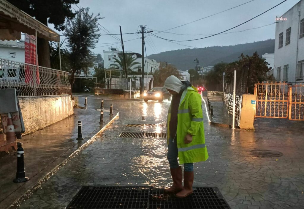 Bodrum belediyesi