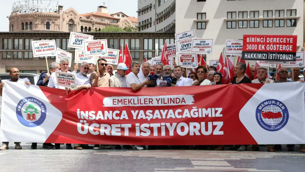 Emekliler yildi 2