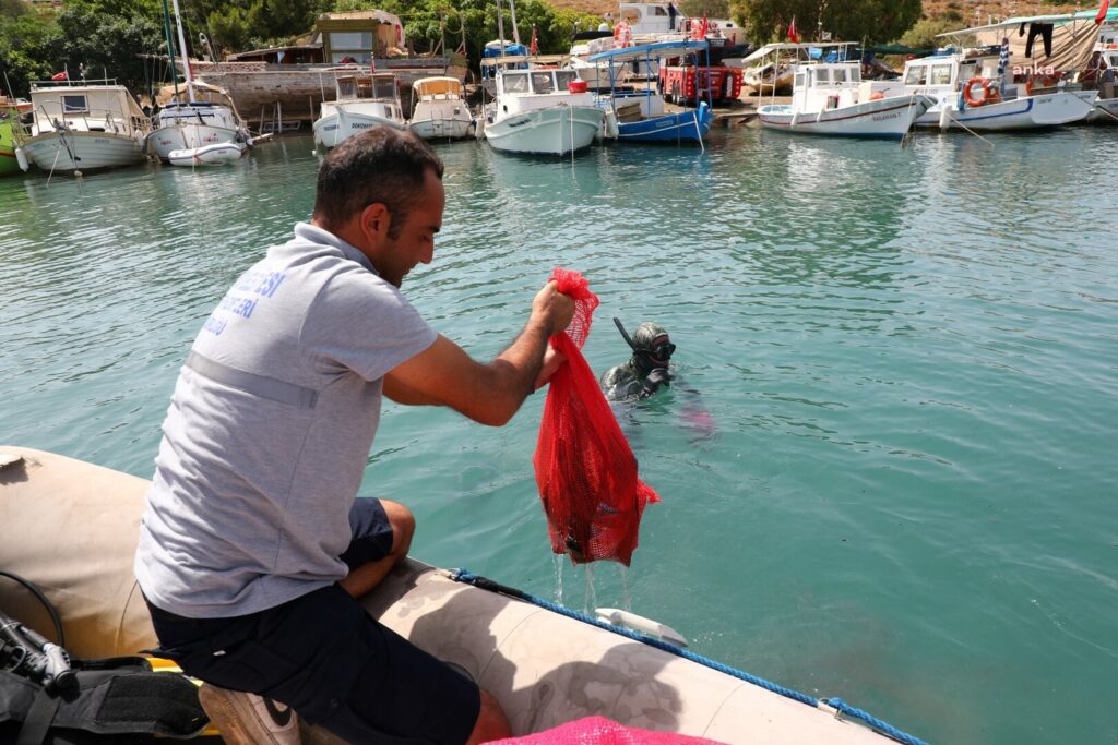 Bodrum gümbet’te deniz dibi temizliği