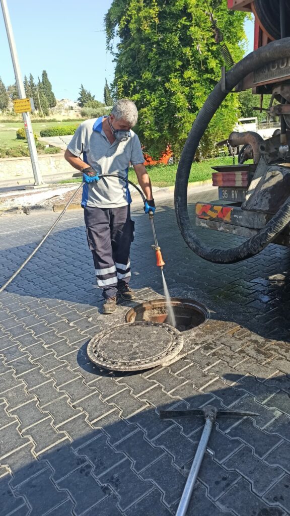 Efes selçuk'ta haşereyle mücadele