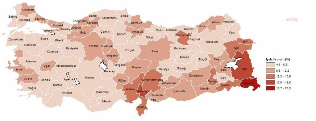 Tüi̇k: i̇şsizlik oranı en yüksek il hakkari