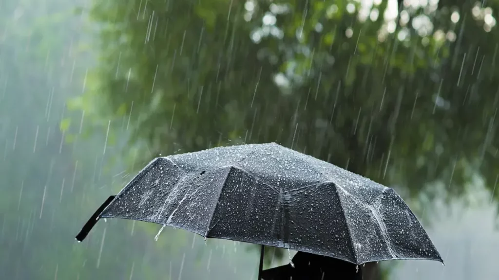 Meteoroloji'nin yaptığı son değerlendirmelere göre, ankara, çankırı, kırıkkale, karabük, bolu, karaman, niğde, i̇stanbul, kocaeli ve sakarya'da yerel kuvvetli gök gürültülü sağanak yağış, düzce, zonguldak, bartın, sinop ve kastamonu'da ise şiddetli yağış bekleniyor.