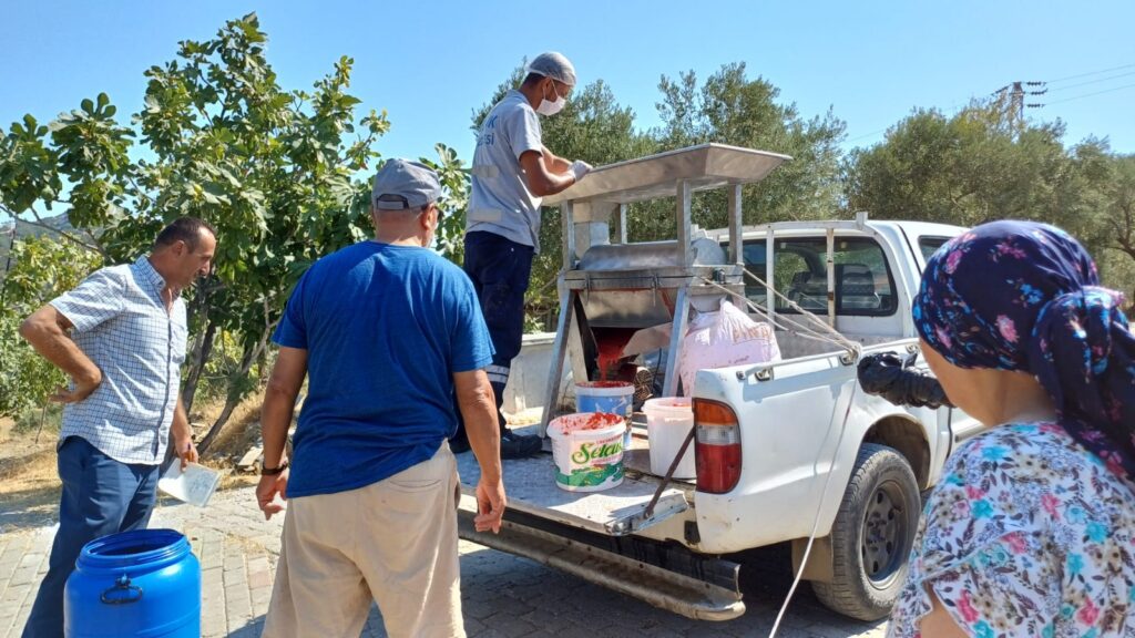 Efes selcukta salca yapimi 5