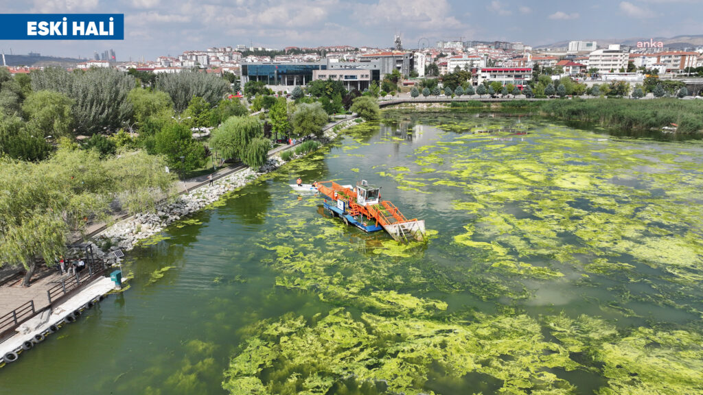 Mogan gölü eski görünümüne kavuştu