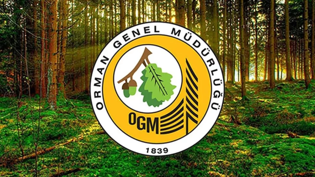 Ogm'den 'güvercinlik koyu' açıklaması