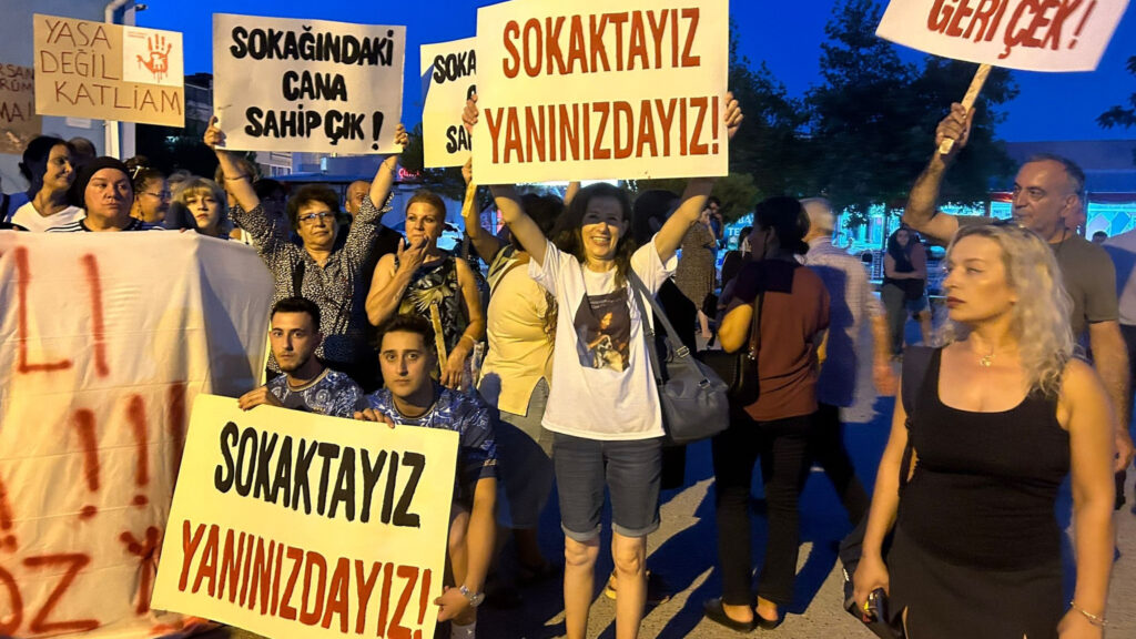 Protesto edildi 4 kopya