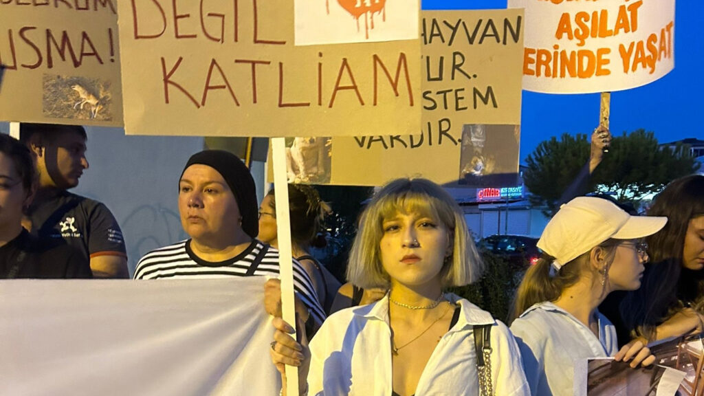 Protesto edildi 5 kopya