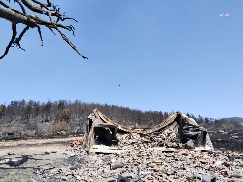 Demirler köyü yakınında 13 yayla evi ve bir cami yandı