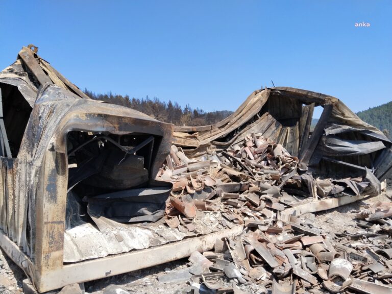 Ankara-Bolu sınırındaki orman yangını... Demirler köyü yakınında 13 yayla evi ve bir cami yandı