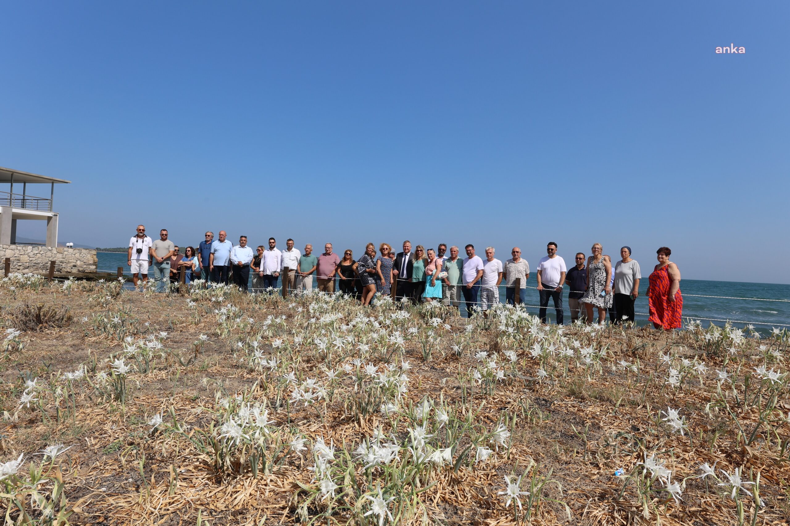 Urla'da kum zambakları için farkındalık etkinliği