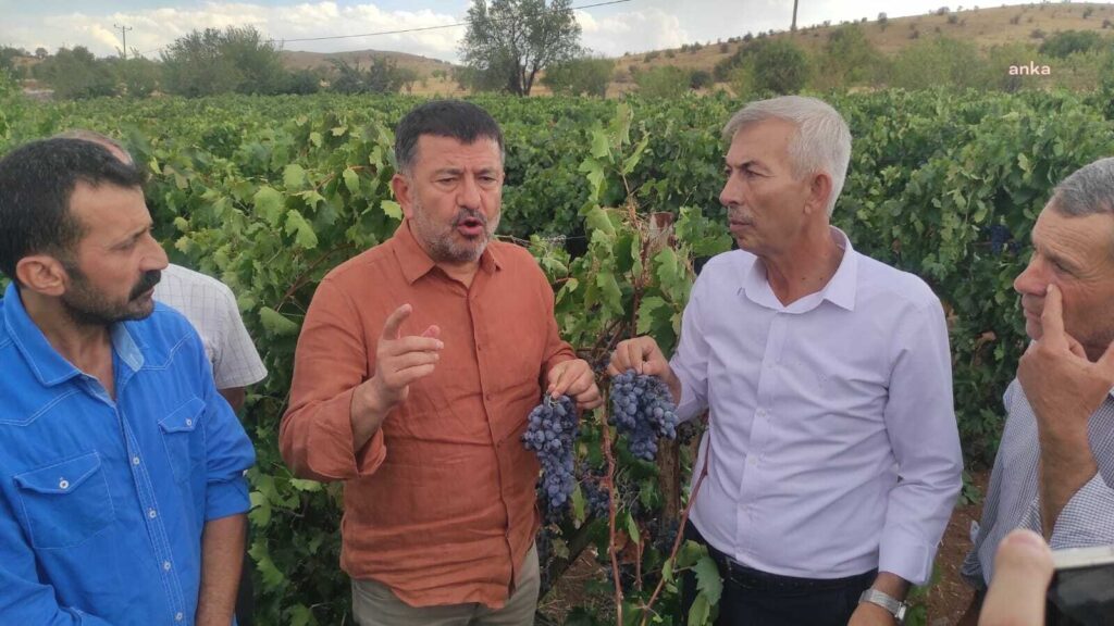 "tarım ve orman bakanı maalesef tarımdan bihaber yaşıyor"