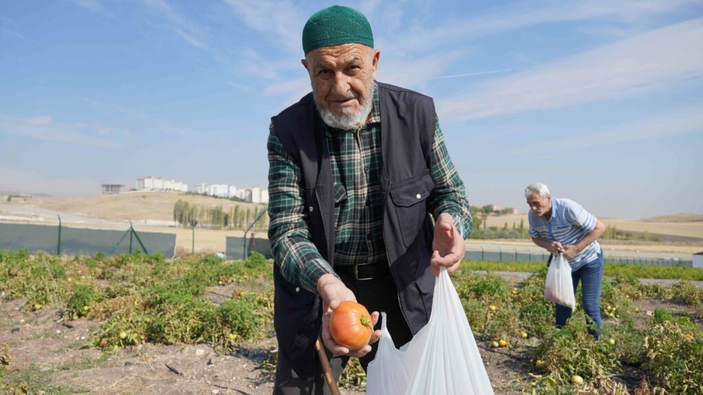 Bostanın son hasadı huzurevi sakinlerinden