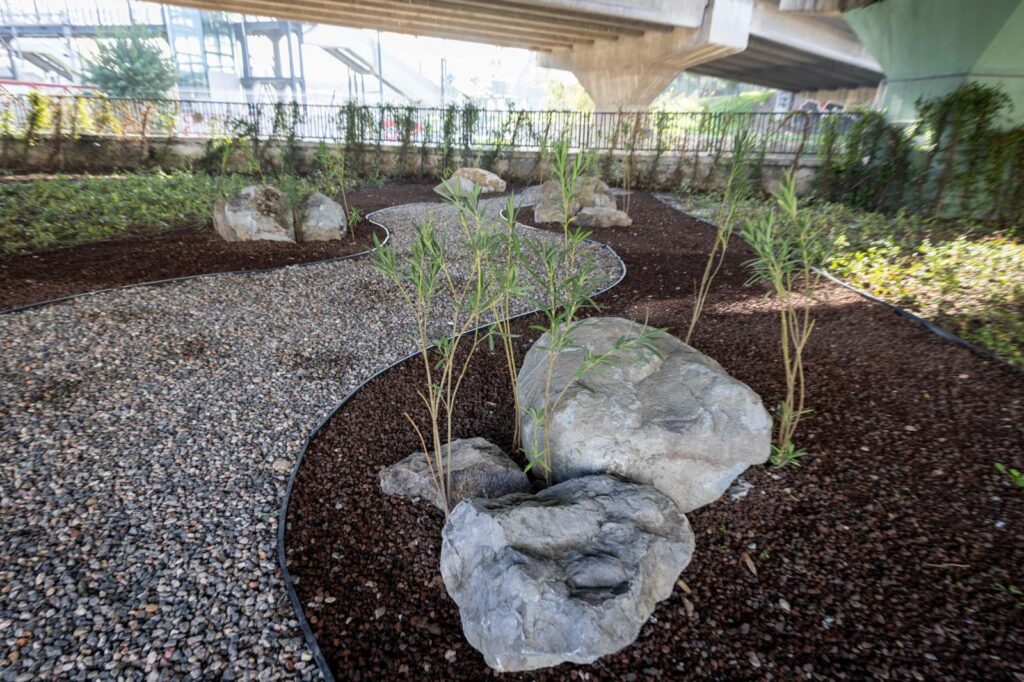 80 Futbol Sahası Büyüklüğündeki Alanda Dönüşüm Tamam 80 futbol sahası büyüklüğündeki alanda dönüşüm tamam