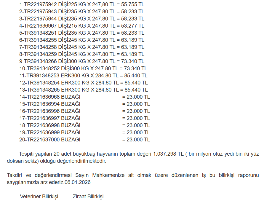 Gürer: 20 Büyükbaş Icradan Satılık Belge 1