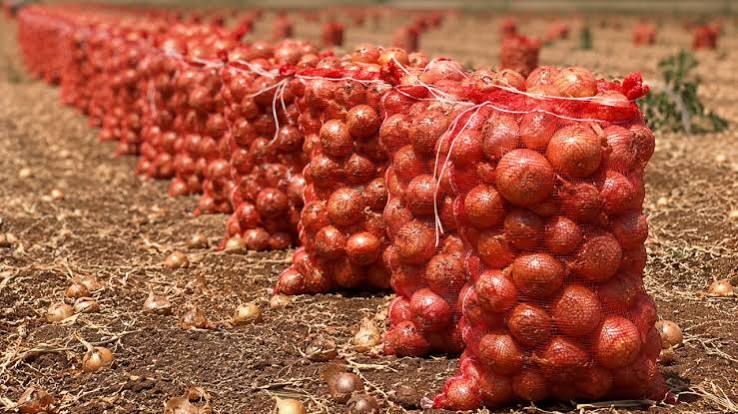Tarımda Üretici Zorda: “Büyüme Halkın Sofrasına Yansımıyor” Images 2