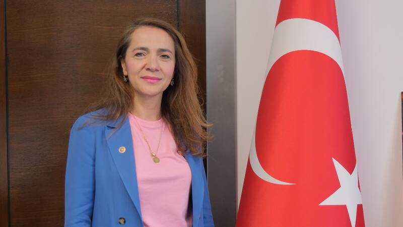 Gamze Akkuş İlgezdi: Özel Hastanelerde Hekim Hakları Gamze akkuş i̇lgezdi: özel hastanelerde hekim hakları