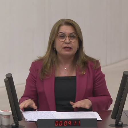 Gülizar Biçer Karaca’dan Fon Krizi İçin Araştırma Çağrısı Gülizar biçer karaca’dan fon krizi i̇çin araştırma çağrısı